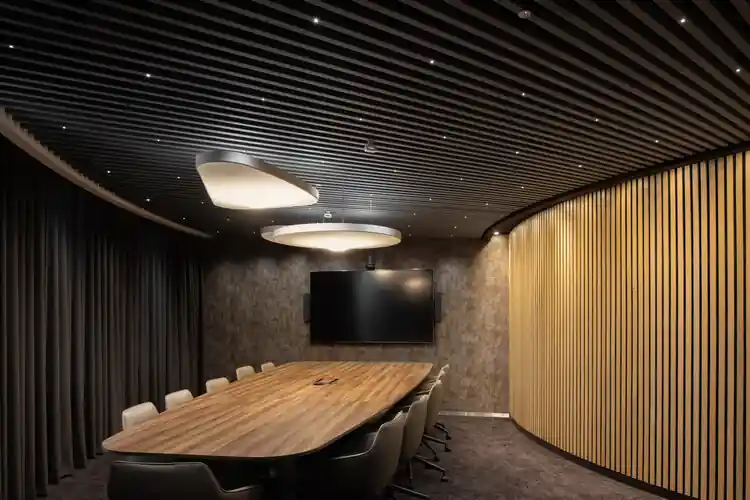 Acoustic and Thermal Ceilings